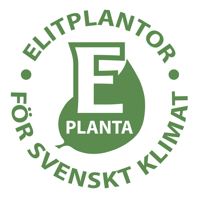 E-planta
